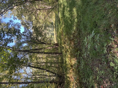 Bath Co Ky Hunting /Timberland with Home - image 23