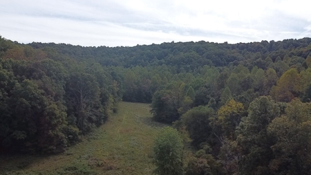 Bath Co Ky Hunting /Timberland with Home - image 27
