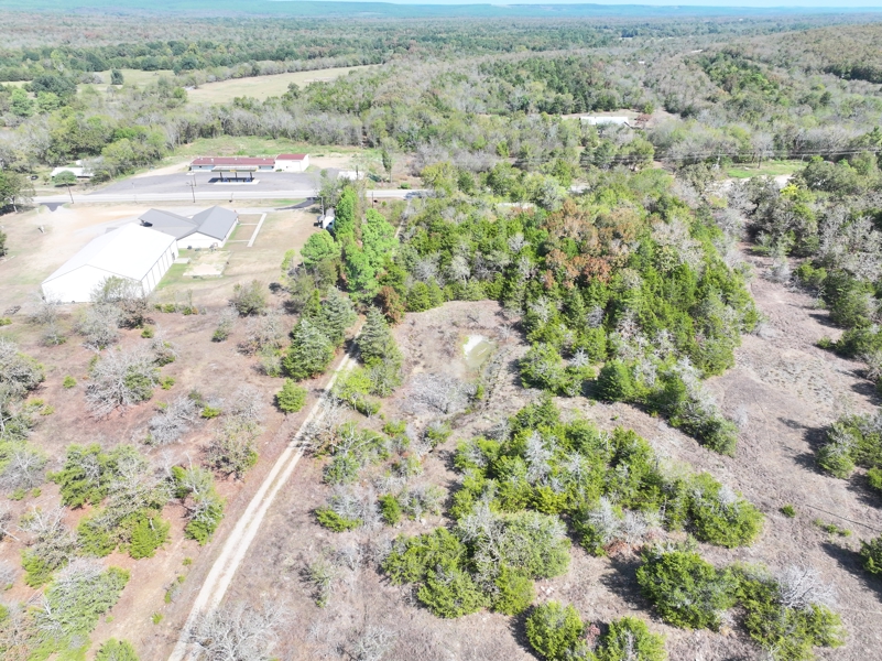 No Caption