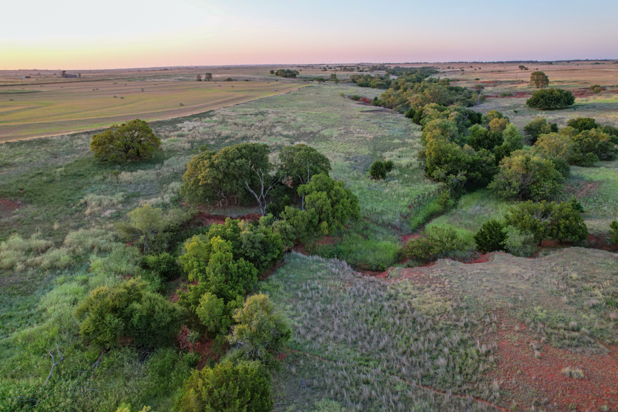 No Caption