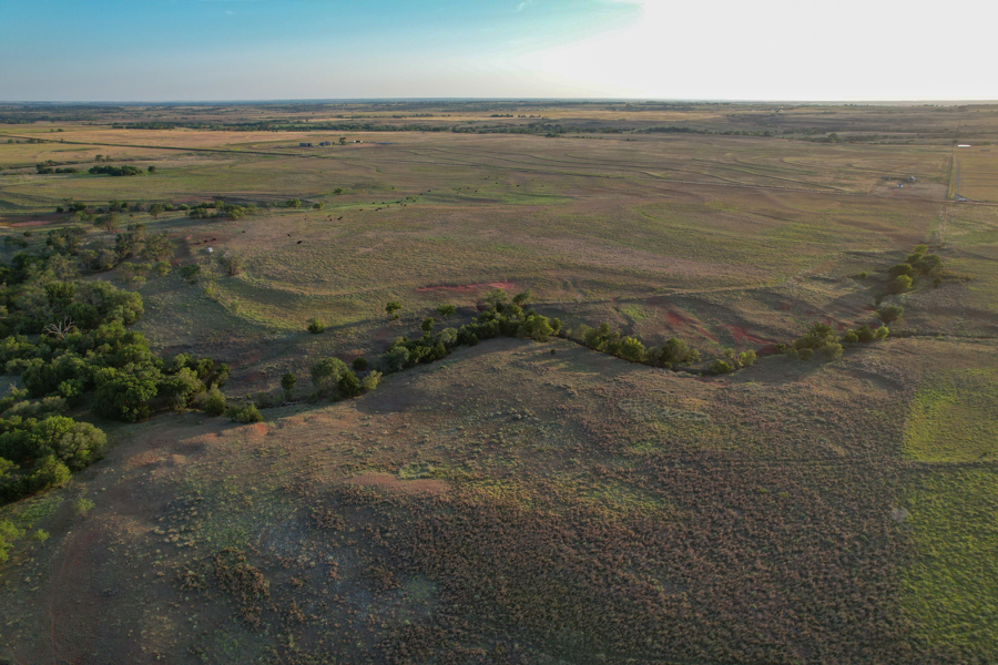 No Caption