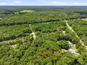 Listing 184