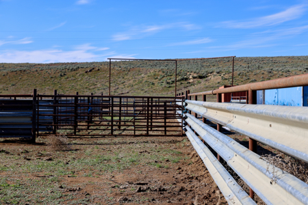 Eastern Oregon Narrows Pivots Located South of Burns - image 12