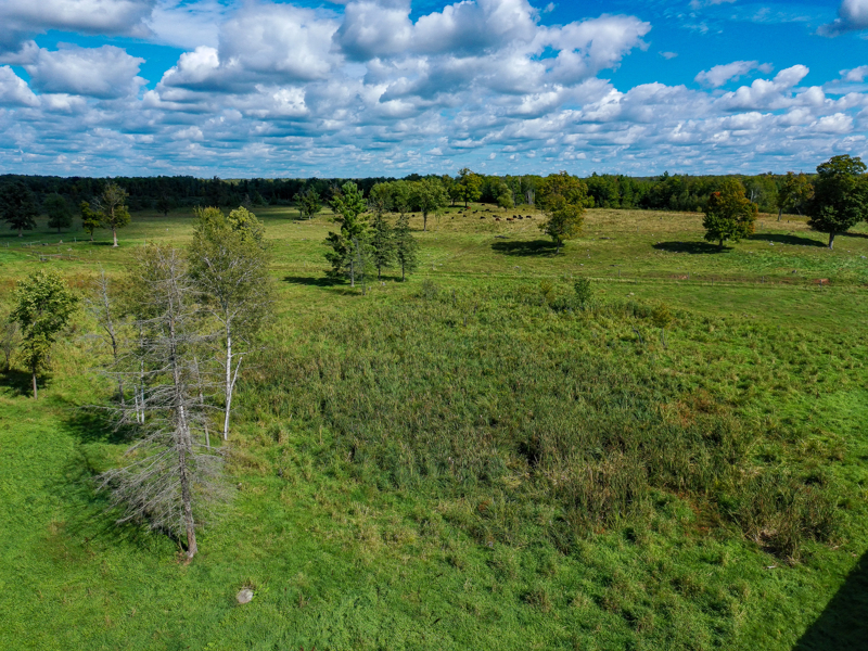 No Caption