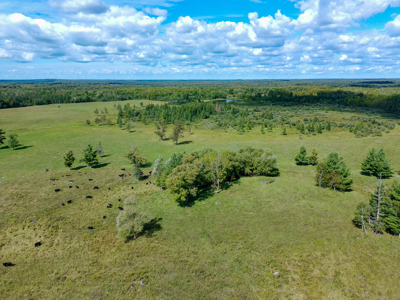 120 Acre Dairy Farm or Hunting Acreage, Northern MN - image 4