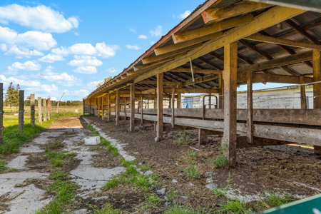 120 Acre Dairy Farm or Hunting Acreage, Northern MN - image 13
