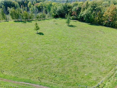 120 Acre Dairy Farm or Hunting Acreage, Northern MN - image 29