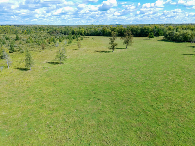 120 Acre Dairy Farm or Hunting Acreage, Northern MN - image 30