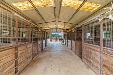 54-Acre Turnkey Horse Ranch Just 20 Minutes from Loop 1604 - image 31