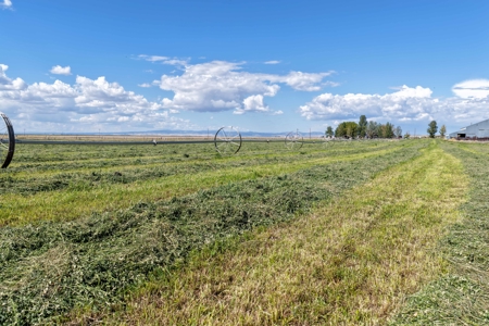 Eastern Oregon North Crane Farm Located North of Crane - image 35