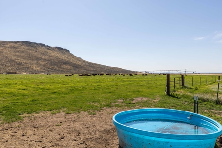 Eastern Oregon North Crane Farm Located North of Crane - image 20