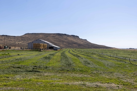 Eastern Oregon North Crane Farm Located North of Crane - image 32