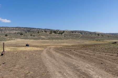Eastern Oregon North Crane Farm Located North of Crane - image 29