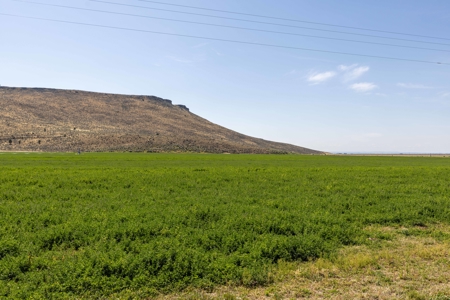 Eastern Oregon North Crane Farm Located North of Crane - image 18