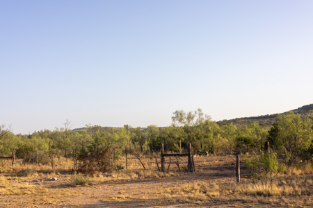 Pecan Pond Ranch, Paved Access, RV-Ready Campsite & Great Hunting - image 8