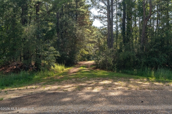 Historic Home on 11.67 Acres | Amite County MS