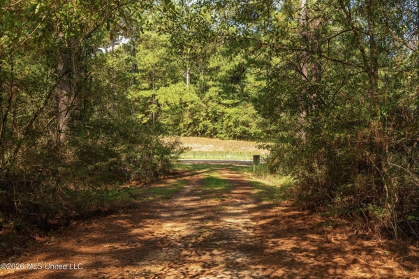 Historic Home on 11.67 Acres | Amite County MS
