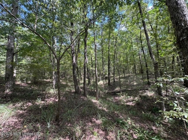 Listing 14