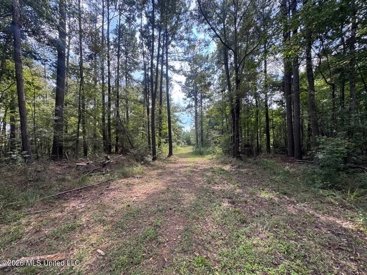 Listing 14