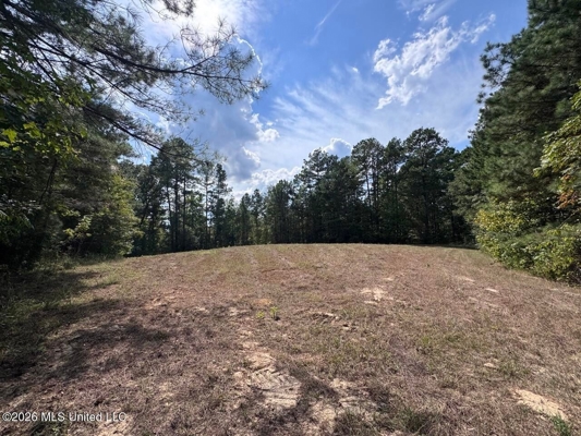 200± Acre Hunting Property in Jefferson County, MS