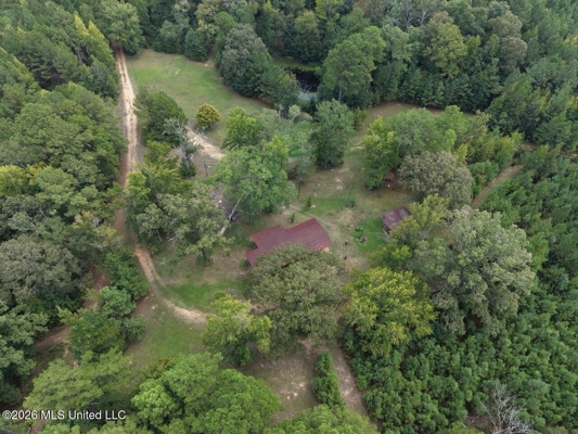 200± Acre Hunting Property in Jefferson County, MS