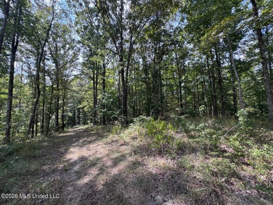 200± Acre Hunting Property in Jefferson County, MS