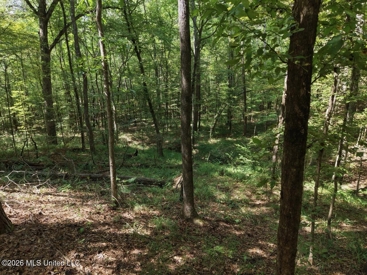 Listing 14