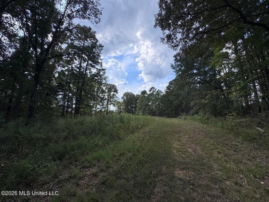 200± Acre Hunting Property in Jefferson County, MS