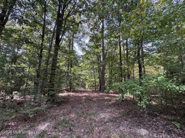 Listing 14