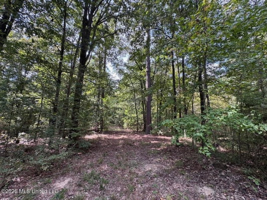 200± Acre Hunting Property in Jefferson County, MS