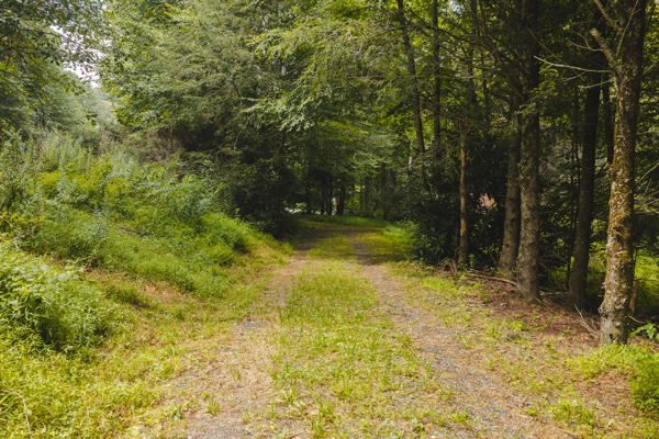 Mountain Property for Sale in Newland, NC!