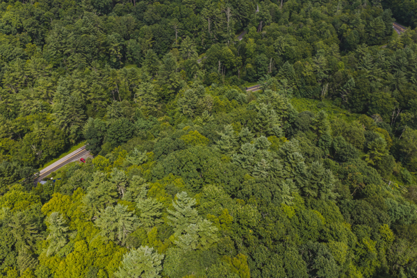 Mountain Property for Sale in Newland, NC!