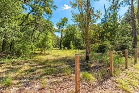 32 Acres In Levy County, Fl--Beautiful Homesite Or Horse Farm - image 4