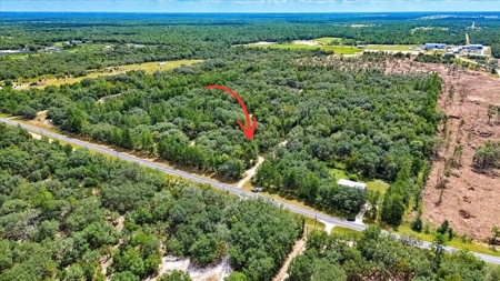 32 Acres In Levy County, Fl--Beautiful Homesite Or Horse Farm - image 23