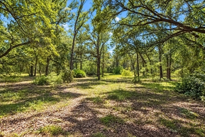Listing 64