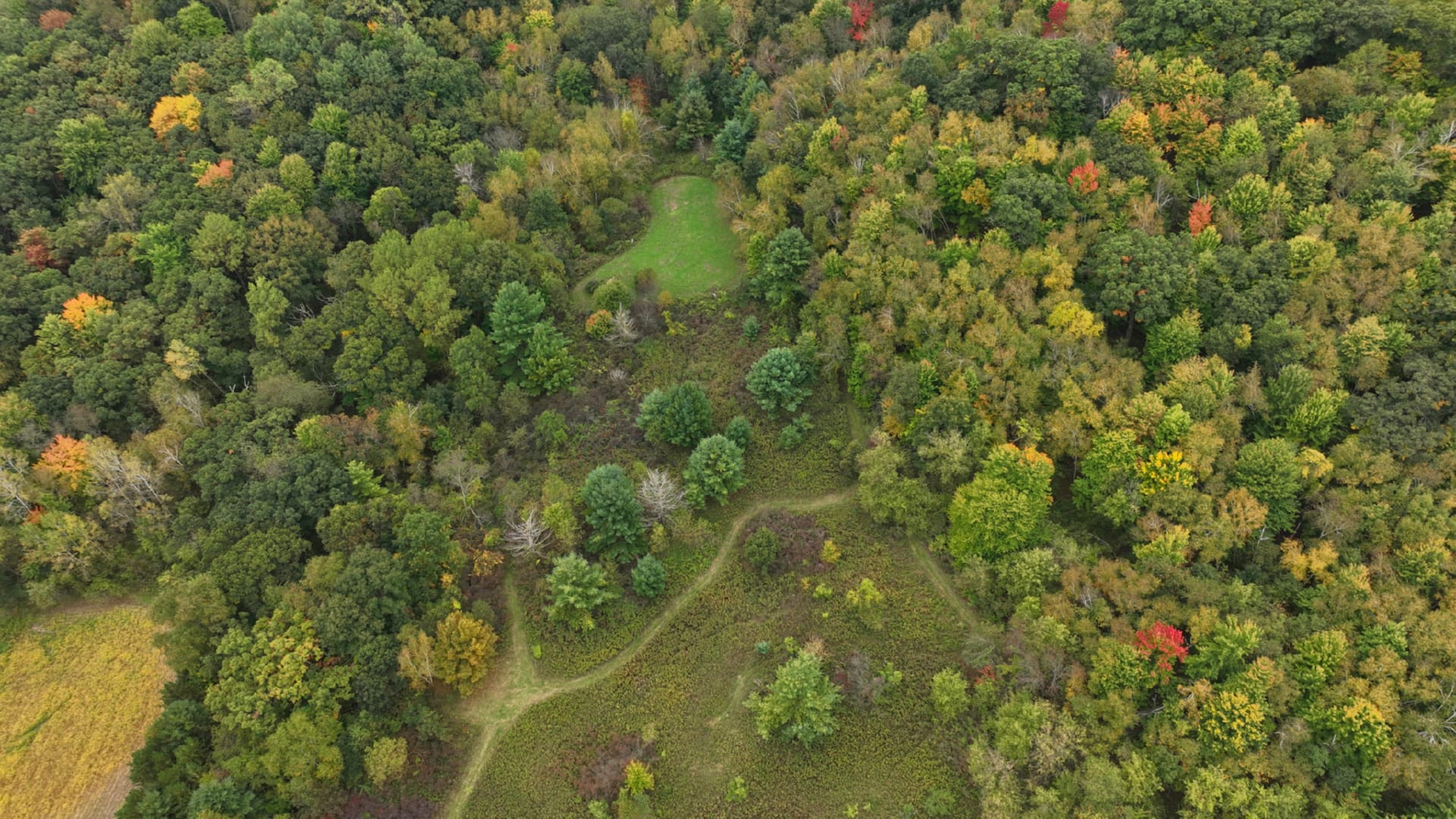 000 Pierce Road, Curran, Wisconsin, 54635