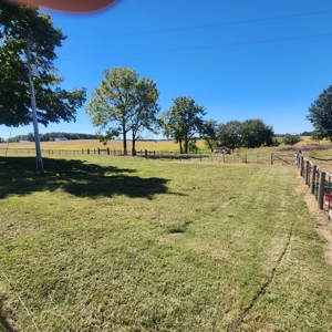 5 bedroom country home w/46 acres for sale near Franklin Ky. - image 34