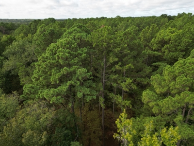 76.13 Acres of Rural Living or Recreating in Smith County, Texas - image 7
