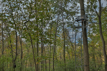 58.89-Acre Hunting Camp & Whitetail Retreat | Blue River, WI - image 24