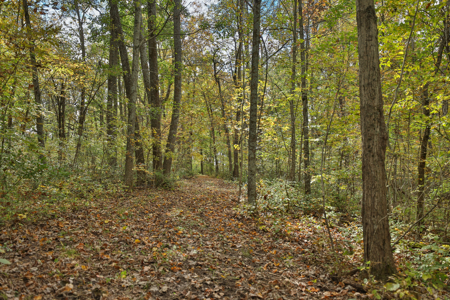 58.89-Acre Hunting Camp & Whitetail Retreat | Blue River, WI - image 28