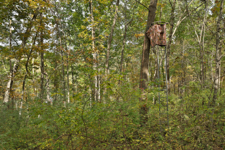 58.89-Acre Hunting Camp & Whitetail Retreat | Blue River, WI - image 42
