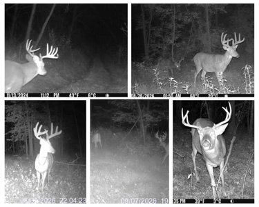 58.89-Acre Hunting Camp & Whitetail Retreat | Blue River, WI - image 4