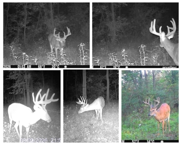 58.89-Acre Hunting Camp & Whitetail Retreat | Blue River, WI - image 21