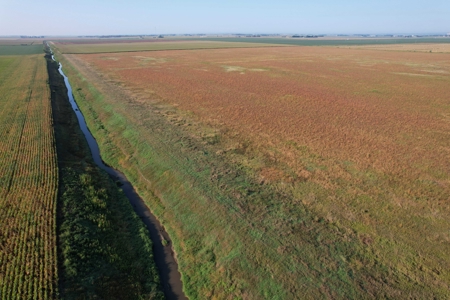 Woodbury County Tillable Farm - image 4