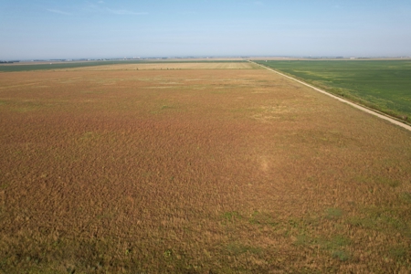 Woodbury County Tillable Farm - image 8