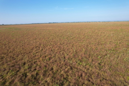 Woodbury County Tillable Farm - image 17