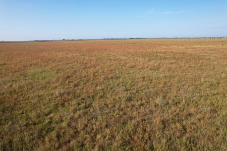 Woodbury County Tillable Farm - image 16