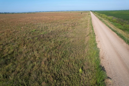 Woodbury County Tillable Farm - image 15