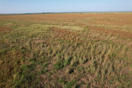 Woodbury County Tillable Farm - image 12