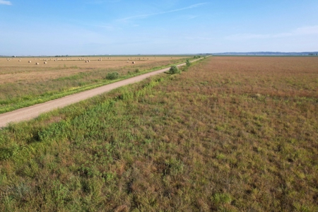 Woodbury County Tillable Farm - image 23